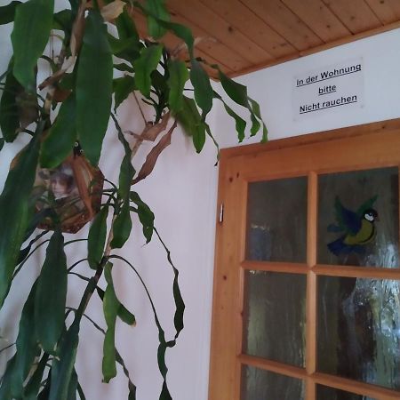 Ferienwohnung Steinbauer Opfenbach Ngoại thất bức ảnh