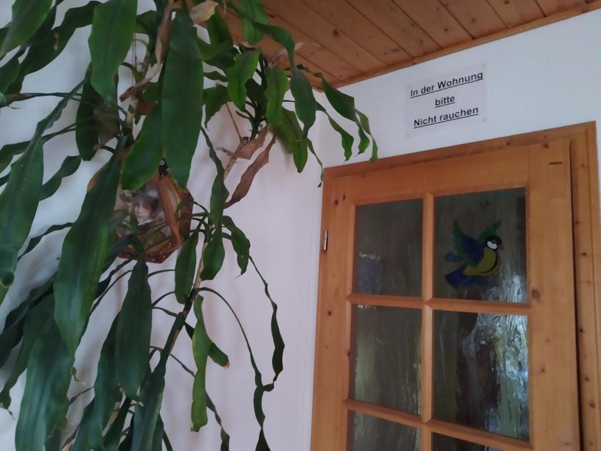 Ferienwohnung Steinbauer Opfenbach Ngoại thất bức ảnh